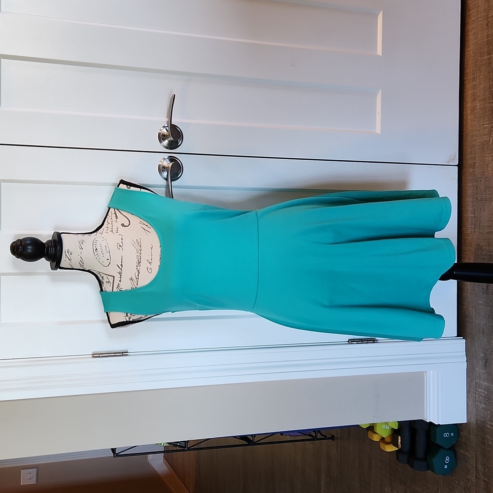 The Limited Turquoise Skater Dress